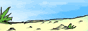 csnz_link.gif