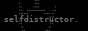 selfdistructor1.png