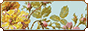 LFbutton1.gif