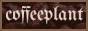 coffeeplant.jpg
