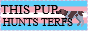 thispuphunts.png
