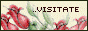 archived 88x31 button #70041