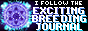 ebj1.gif