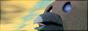 88x31-alt.png