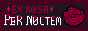 ex-rosa-per-noctem.gif