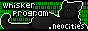 whiskerprogram.png