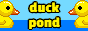 !duckypond.gif