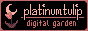 platinumtulip.gif