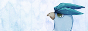 archived 88x31 button #70359