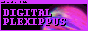 punksnarl.png