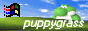 puppygrass_2.png
