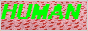 button.gif