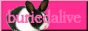 archived 88x31 button #70541
