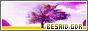 archived 88x31 button #70644
