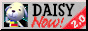 ac-button-daisy.gif