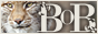 archived 88x31 button #70729