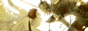 archived 88x31 button #70731