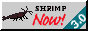 smallchocolatem.png