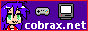 cobrax.net_banner.gif