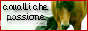 archived 88x31 button #70906