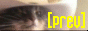 prev.png
