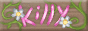 killychanbutton.gif