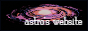 asteralki.png