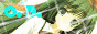 archived 88x31 button #71061