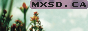 mxsd.png
