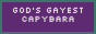 Untitled.png