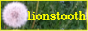 lionstooth.png