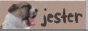 svnhrtz_3.gif