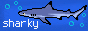 sharky.gif
