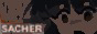 sacher2.jpeg