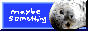 maybesomething.png