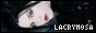 fl475.jpg