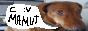button.png