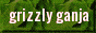 grizzlyganja.gif