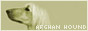 afghanhoundfanlistingbutton.jpg