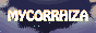 mycorrhiza.png