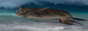 weareone.png