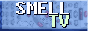 softsynth.png