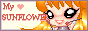 buttons142.gif
