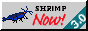 smallrustyoebtsf.png