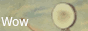 Button.gif