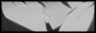 archived 88x31 button #71903
