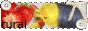 ruralrose.gif