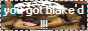 vultur3.png