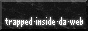 trapped-inside-da-web.gif