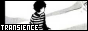 88x31_transience.png